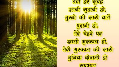 Lyricsdrive Good Morning Shayari In Hindi 01